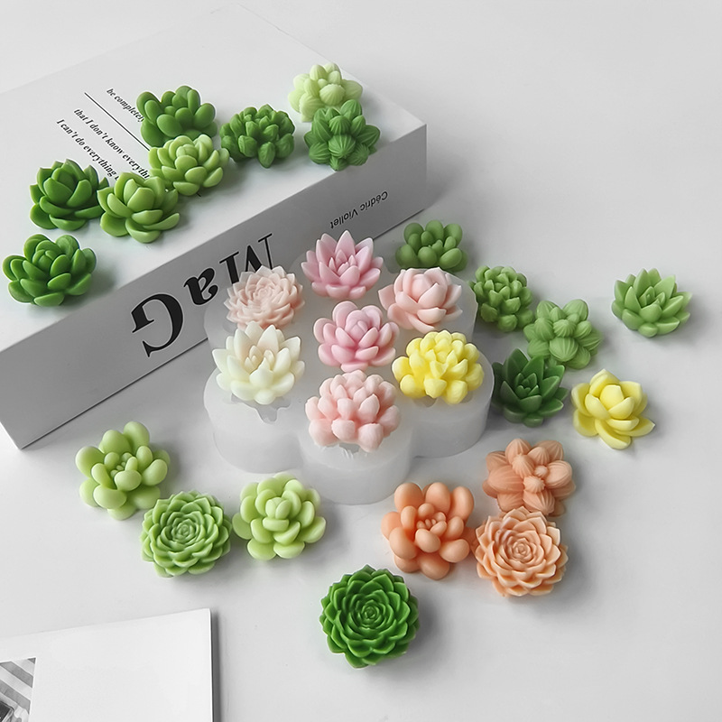 7 In1 Succulent Cactus Silicon - огляд і ціна Soap Making In Home